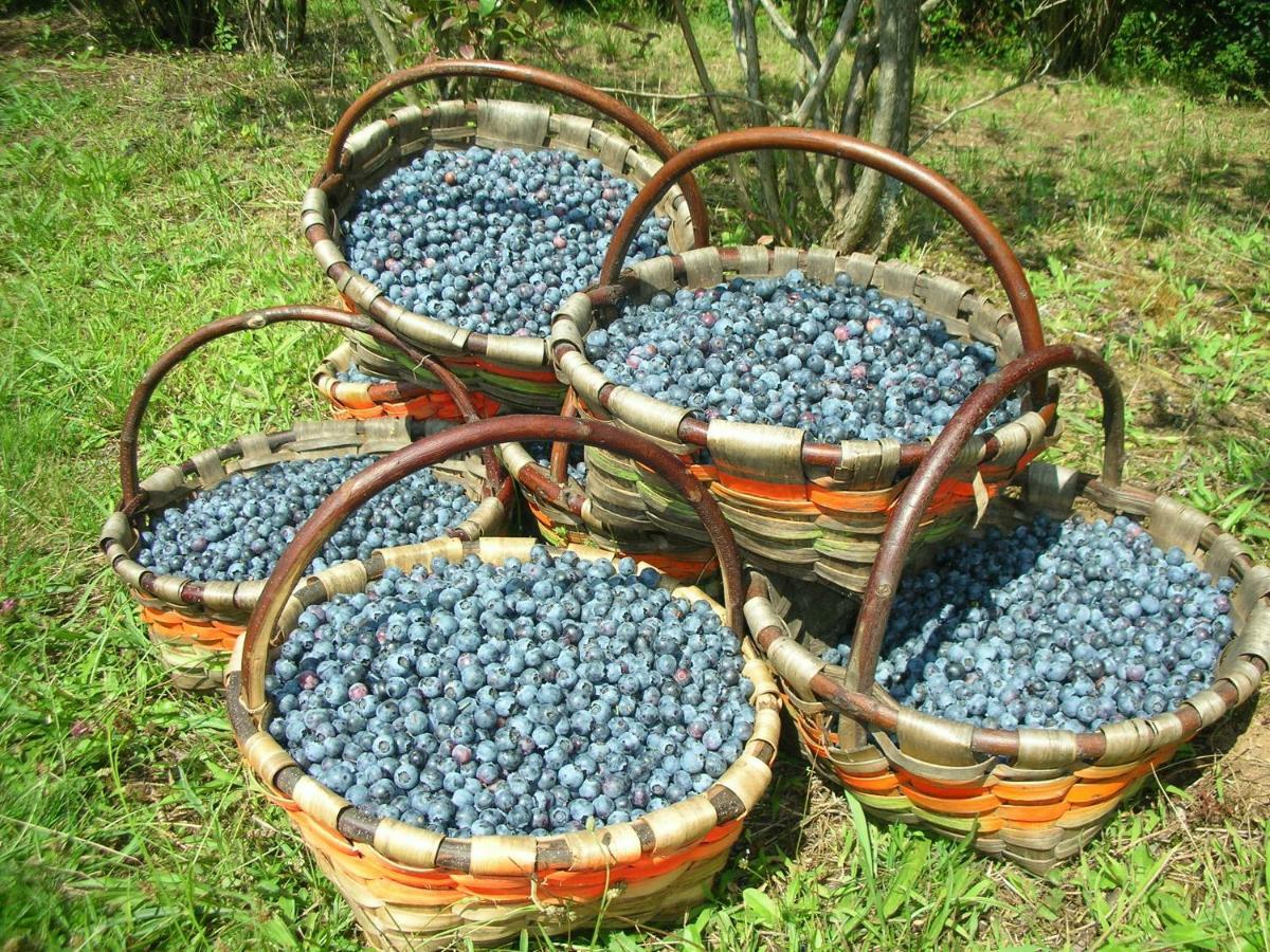 Domaine Xixtaberri 호텔 캄보레방 외부 사진